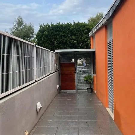 Work And Rest Away From Paterna